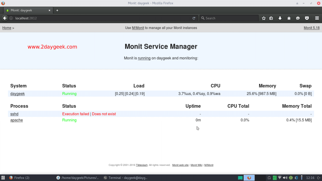 monit linux examples