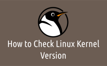 Checking Linux kernel version