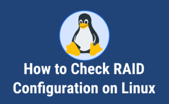 Check RAID Configuration in Linux