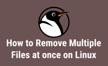 How to Remove Multiple Files at once on Linux