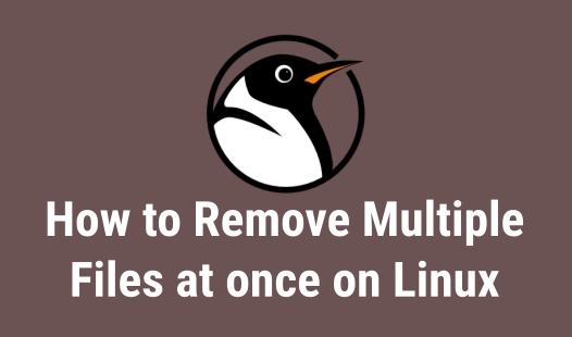 How to Remove Multiple Files at once on Linux | 2DayGeek How to Remove Multiple Files at once on Linux | 2DayGeek