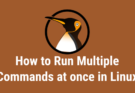 How to Run Multiple Commands at once in Linux
