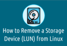 Removing SAN disk or Storage Device (LUN) from Linux