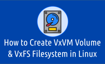 Creating VxVM Volume and VxFS Filesystem in Linux