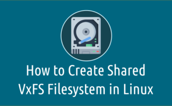 Creating Shared VxFS Filesystem in Veritas on Linux